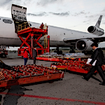China's Gold Imports – Better Data, Unanswered Questions