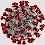 Banknotes and Coronavirus