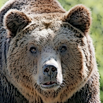 The LBMA Fears Stoking the Russian Bear