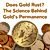 Does Gold Rust? The Science Behind Gold’s Permanence