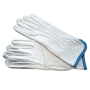 Cotton Coin Gloves, Pair