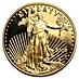 2008 1 oz American Gold Eagle Proof Bullion Coin thumbnail