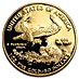 2008 1 oz American Gold Eagle Proof Bullion Coin thumbnail