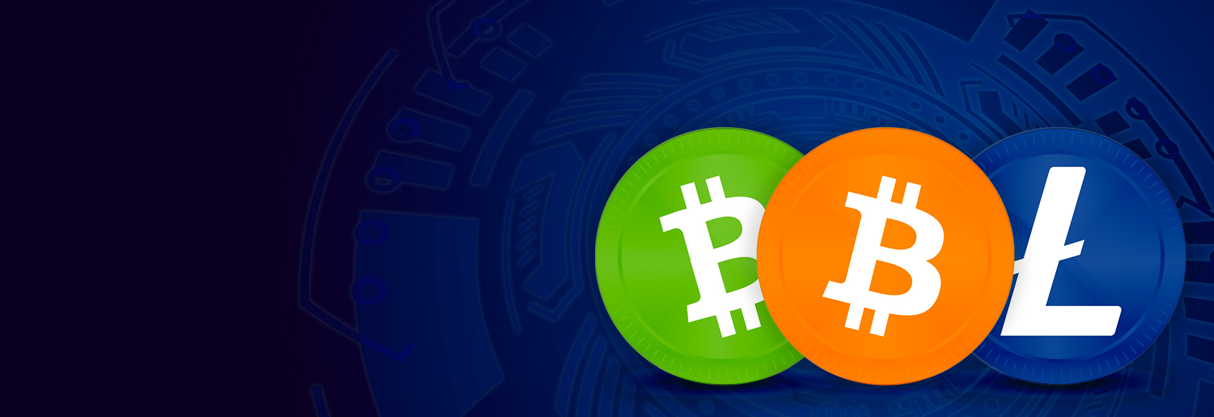 Bitcoin, Bitcoin Cash & Litecoin Accepted Here