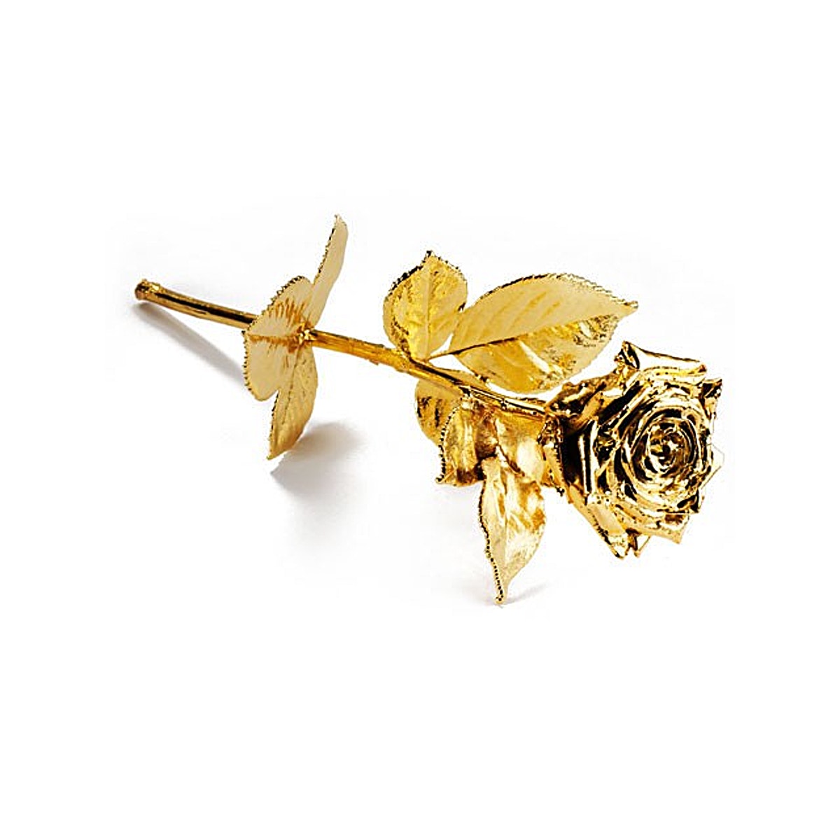 Degussa gilded Rose - 30 cm - Yellow Gold