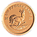 South African Gold Krugerrand 2021 - Proof - 1/10 oz  thumbnail