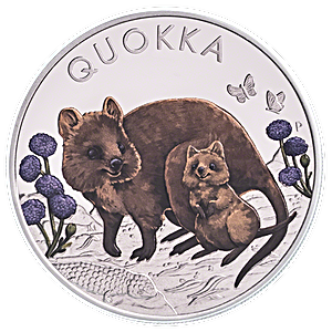 Australia Silver Quokka 2022 - Colourized Proof - 1 oz 