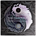 2024 5 oz Tuvalu Yin and Yang colourized Koi with pearl inserts Silver Coin thumbnail
