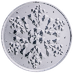 1 oz Scottsdale Mint Snowflake Silver Proof Round thumbnail