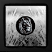 2026 1 oz Cook Islands Black and White Lion Silver Coin thumbnail