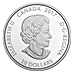 2017 1 oz $20 Canadian Maple Leaf Silver Coin - Kaleidoscope Design (With Box & COA) thumbnail