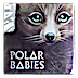 2017 1/2 oz Tuvalu Polar Babies 