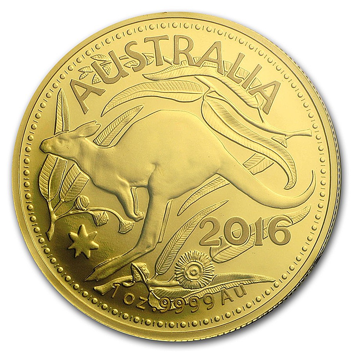 Покупаем инвестиционные монеты. Монета Royal Australian Mint кенгуру Australian Kangaroo. Австралийский кенгуру Золотая монета. Gold Coin Kangaroo 1/2 oz 1990.