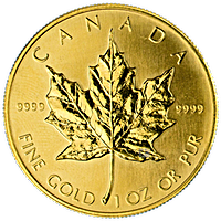 Canadian Gold Maples Canadian Gold Maples