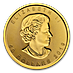 2019 1 oz Canadian Gold Maple Leaf Bullion Coin - Incuse Design thumbnail