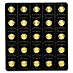 2020 25 x 1 Gram Canadian Gold Maplegram25 Bullion Coin Set thumbnail