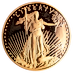 2004 1 oz American Gold Eagle Proof Bullion Coin thumbnail