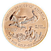 2009 1 oz American Gold Eagle Bullion Coin thumbnail