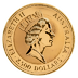 1991 10 oz Australian Gold Kangaroo Nugget Bullion Coin thumbnail