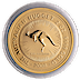 2008 2 oz Australian Gold Kangaroo Nugget Bullion Coin thumbnail