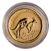 2017 1/10 oz Australian Gold Kangaroo Nugget Bullion Coin thumbnail