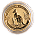 Australian Gold Kangaroo Nugget 2020 - 1/4 oz thumbnail