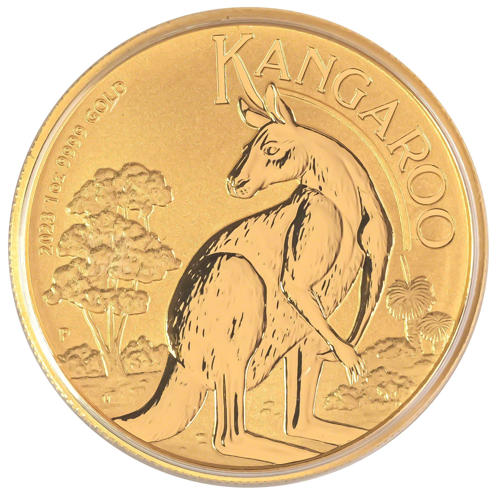 2026 Australian Gold Kangaroo 1 oz