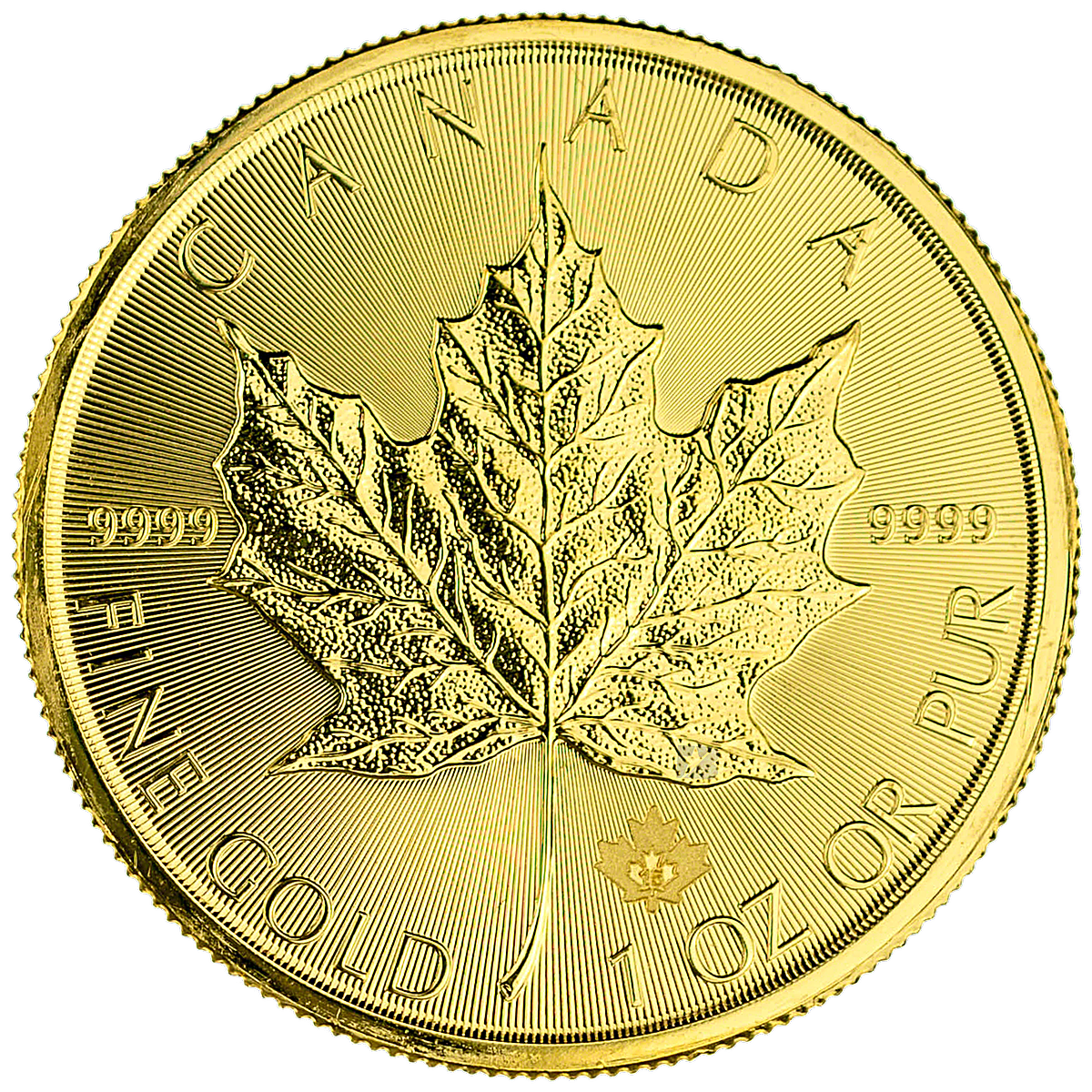 Maple Gold Coin Price Chart