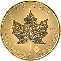 Canadian Gold Maples Canadian Gold Maples