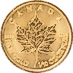 2020 1/10 oz Canadian Gold Maple Leaf Bullion Coin thumbnail