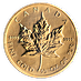 1987 1/2 oz Canadian Gold Maple Leaf Bullion Coin thumbnail