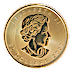 2022 1/2 oz Canadian Gold Maple Leaf Bullion Coin thumbnail