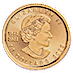 2023 1/4 oz Canadian Gold Maple Leaf Bullion Coin thumbnail