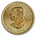 2019 1 oz Canadian Gold Maple Leaf Bullion Coin thumbnail