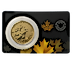 2019 1 oz Canadian Gold Moose Bullion Coin thumbnail