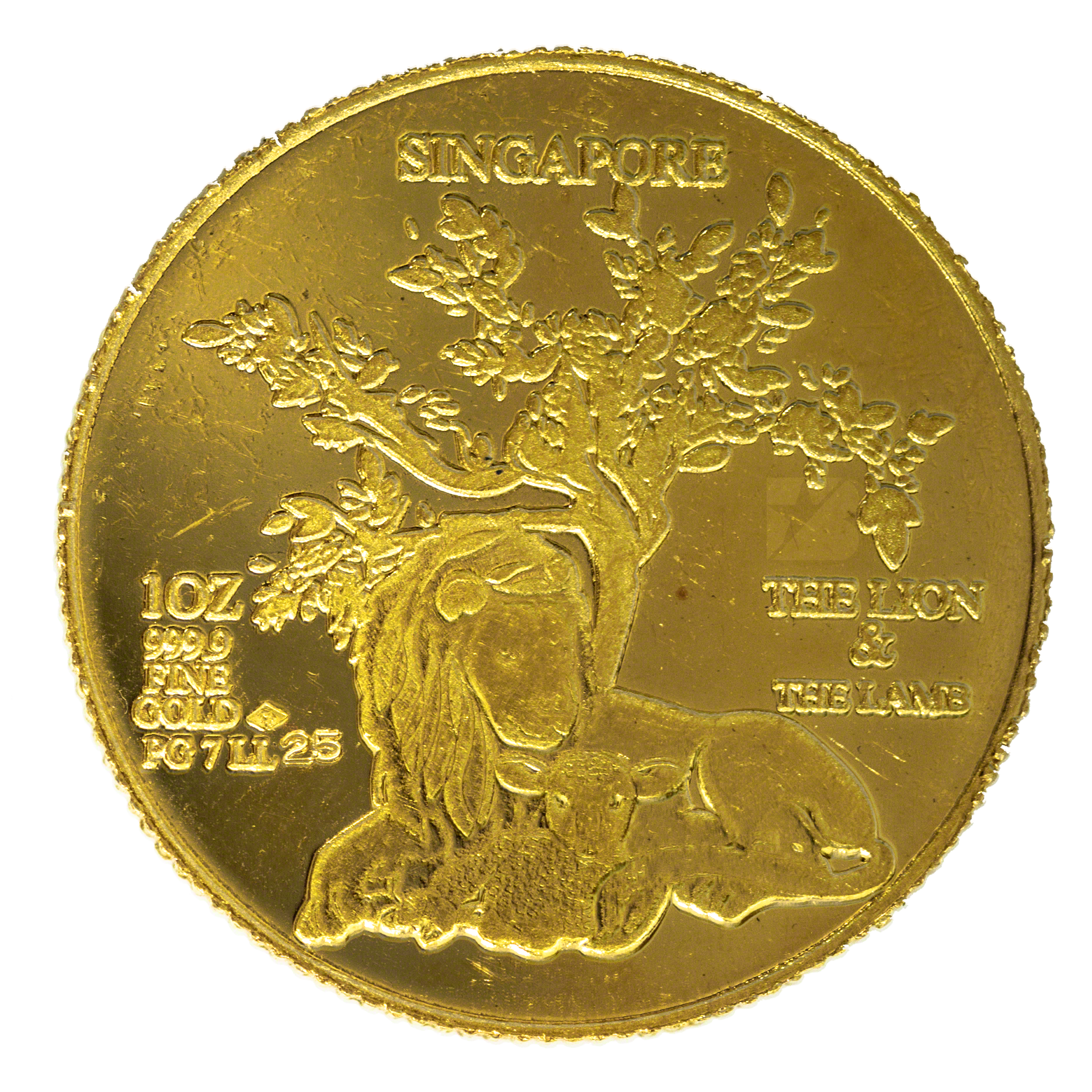 Generic Gold Round 1 oz