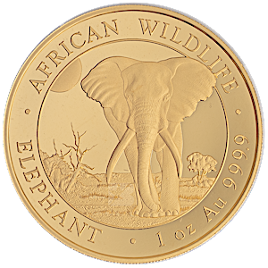 2025 1 oz Somalian Gold Elephant Bullion Coin