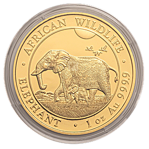 Somalian Gold Elephant 2022 - 1 oz