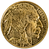 American Gold Buffalo Bullion Coins American Gold Buffalo Bullion Coins