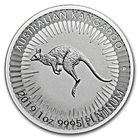 Platinum Kangaroos Platinum Kangaroos