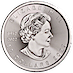 2023 1 oz Canadian Platinum Maple Leaf Bullion Coin thumbnail