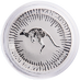 2020 1 oz Australian Platinum Kangaroo Bullion Coin thumbnail