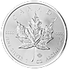 Canadian Silver Maple Canadian Silver Maple