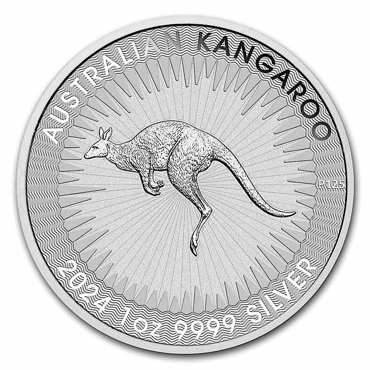 Buy 2024 1 oz Australian Silver Kangaroo Bullion Coin