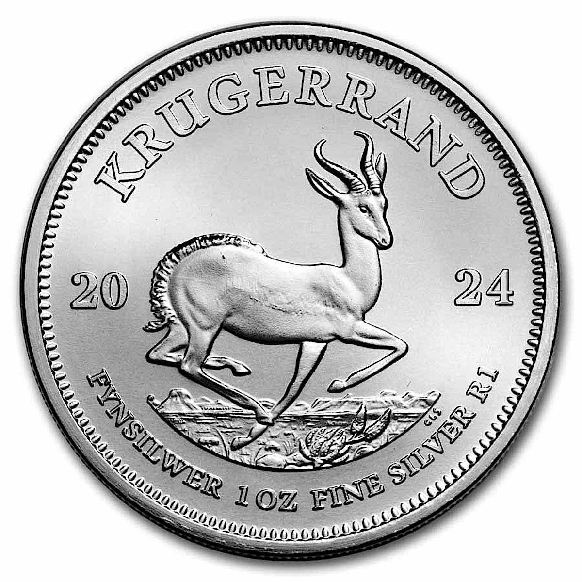 Buy 2024 1 oz South African Silver Krugerrand Bullion Coin