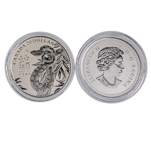 1/4 oz Generic Silver Bullion Rounds - Various Designs