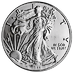 2018 1 oz American Silver Eagle Bullion Coin thumbnail