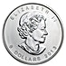 2013 1.5 oz Canadian Silver Polar Bear Bullion Coin thumbnail