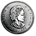 2017 1.5 oz Canadian Silver Super Leaf Bullion Coin (Pre-Owned in Good Condition) thumbnail