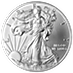 American Silver Eagle 2015 - 1 oz  thumbnail